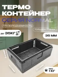 Термоконтейнер TERMOBOX Бытовой Normal, 32 л, 600х400х240 мм, 40кг/м3
